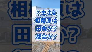 【神奈川あるある】相模原は田舎？都会？問題 #神奈川 #あるある #vtuber #相模原 #海坂くるみ #shorts