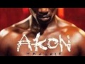 No Labels - Akon (Lyrics)