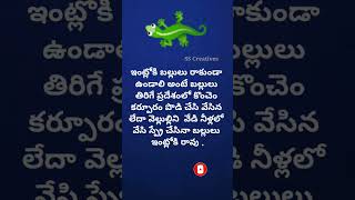 🏠 ఇంటి చిట్కాలు # Home 🏠 tips