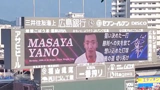 20240908　矢野雅哉 登場曲【｢かもめが翔んだ日｣／渡辺真知子】　6回ｳﾗ　広島東洋ｶｰﾌﾟ　@MAZDA Zoom-Zoom ｽﾀｼﾞｱﾑ広島･ﾋﾞｼﾞﾀｰﾊﾟﾌｫｰﾏﾝｽ