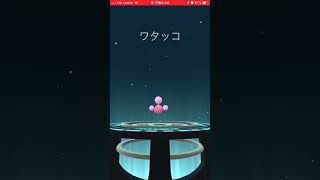 ポケモンgo  見る価値あり　ポポッコ　ワタッコ　色違い進化シーン