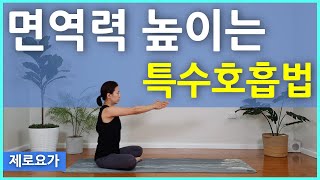 10분 호흡명상, 면역력 높이기, 코가 뻥 뚫려요 / Mindful Breathing Meditation | 제로요가 Joanne