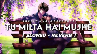 Tu Milta Hai Mujhe [Slowed+Reverb] Lyrics-Raj Barman || Indian Music || Textaudio Lyrics