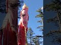 shree hanuman jakhu temple shimla🙏🏻🚩 india s tallest hanuman ji statue shorts viral