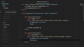 [Angular 2+ Forms and Validation] Lesson5 Simple Validation