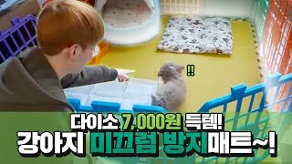 다이소에서 총 7,000원에 구매한 강아지 미끄럼 방지매트로 쩡이집 꾸미기[반려견 크림푸들 쩡이의 보금자리 만들기]