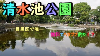 のほほん散歩 #017【清水池公園】無料で釣りができる目黒の公園