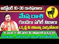 Mesha Rasi Phalalu 2024 Telugu | Mesha Rasi Phalalu October 2024 | Aries Horoscope | Sreekaram