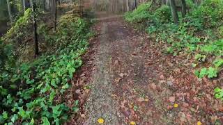 Dahlgren Heritage Rail Trail -  6 Mile Shakeout Run