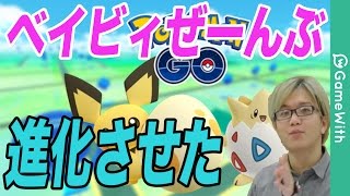 【ポケモンGO】ベイビィコンプ！全部進化させてみた【Pokemon GO】