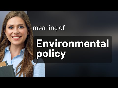 Understanding environmental policy: a guide