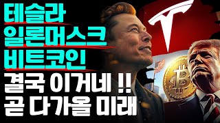 결국 테슬라 비트코인이 정말 이렇게 될까? 이렇게 된다면 완전 난리나겠는데?? 😱🚀🚀 (30분 투자플랜)