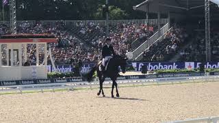 Daniel Bachmann Andersen Blue Hors Zack Freestyle at the EC 2019