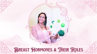 Breast Hormones and Their Roles - 358 | Menopause Taylor