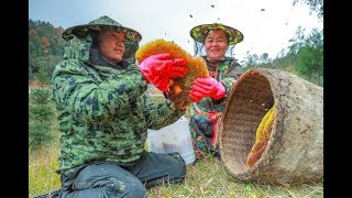 From bitter to honey sweet: a beekeeper’s road out of poverty