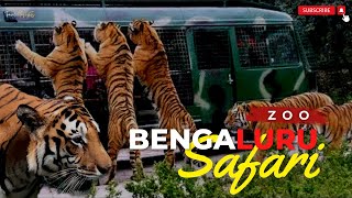 Bannerghatta National Park Jeep Safari | Amazing Jungle Safari Bengaluru | Bangalore ZOO Safari