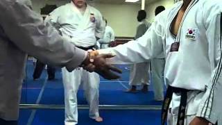 Hapkido Gm. Moreland World Hankido