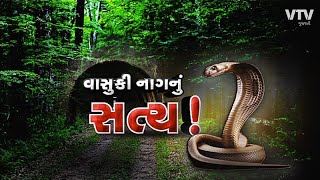 ગુજરાતમાં મળ્યો 5 કરોડ વર્ષ જૂનો 'વાસુકી' નાગ, દુનિયાના સૌથી લાંબા સાપ વિશે વૈજ્ઞાનિકોએ કર્યો ખુલાસો