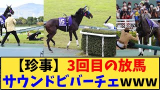 【競馬】「【CBC賞】放馬三冠達成 サウンドビバーチェまたもやらかすwww」に対する反応【反応集】