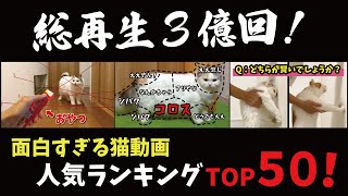 神ランキング！総再生3億回突破の面白すぎる猫動画がこちら！【関西弁でしゃべる猫】【猫アテレコ】