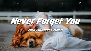 Zara Larsson, MNEK - Never Forget You (Lyrics)