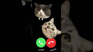 🔇MI TELEPON SOUND EFFECT THREE  CAT EP.33🔇 #ringtone #smartphone #ringtones