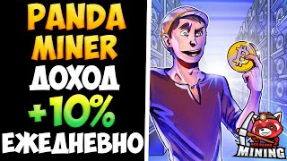 PandaMiner новый проект для быстрого приумножения денег