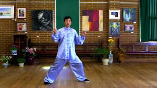 Tai Chi 40 Form Step by Step Instructions (Paragraph 3)