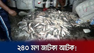 বরিশালে বিপুল পরিমাণ জাটকা ইলিশ জব্দ | Barisal Jatka | Jamuna TV