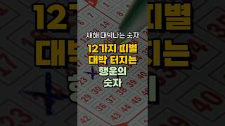 새해 12가지 띠별 행운의 숫자! 건강 행운 돈 3가지 들어오는 방법! 돈복 터지는 풍수 TV