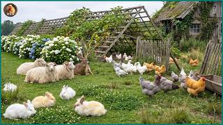 Quiet Farm Ambience — Remote Countryside Abandoned Garden and Relaxing Animal Life
