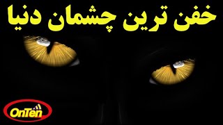 بهترین و بی نقص ترین چشمانی که در دنیا وجود دارد