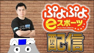 ぷよぷよ 　第8回彗星ぷよ杯【3位決定戦】