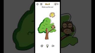 Brain out level 8 wake up the owl walkthrough and solution