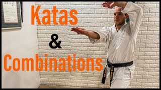 Karate workout: katas and combos