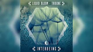 Liquid Bloom \u0026 TRIBONE - Interbeing (Kaya Project Remix)