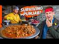 Epic Northwest Indian Food Tour!! Surviving Punjab!!