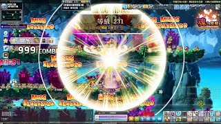 【等級記錄片】TMS 新楓之谷 夜使者 Lv230→Lv231