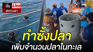 Live ทำซั้งปลา ภูมิปัญญาโบราณ เพิ่มจำนวนปลาในทะเล ที่เกาะเต่า | อีจัน EJAN