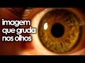 Imagem Que Gruda nos - olhos Ilusão de Otica