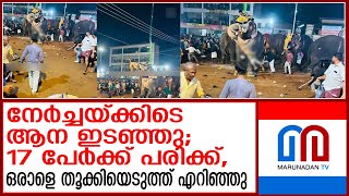 നേര്‍ച്ചയ്ക്കിടെ ആന ഇടഞ്ഞു; നിരവധി പേര്‍ക്ക് പരിക്ക് | elephant attack tirur