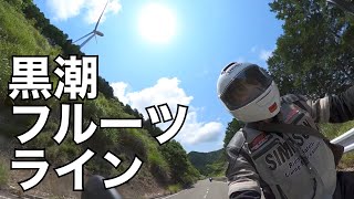 [和歌山ツーリング] 黒潮フルーツライン〜みはらし峠