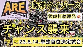 【聖地大声援】阪神タイガース 『チャンス襲来』ノイジー選手✨大山悠輔選手✨近本光司選手打席  23.5.14.  阪神甲子園球場