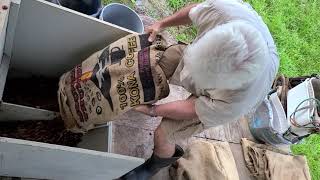 How is coffee made? Part 1: Ripe cherry picked and headed to the pulper.