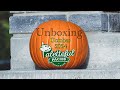 Unboxing October 2024 Paletteful Packs