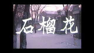 石榴花（1983年上影）