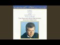 Piano Concerto in A Minor, Op. 16: I. Allegro molto moderato