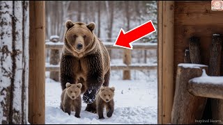 A Freezing Bear with Two Cubs: The Man's Decision to Open the Door Will Move You to Tears!