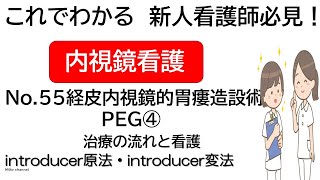 これでわかる　新人看護師必見！　内視鏡看護　介助No.55 経皮内視鏡的胃瘻造設術　PEG④　治療の流れと看護　introducer原法    introducer変法