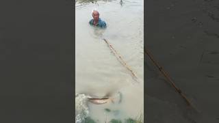 Amazing Grandpa Fishing For Giant Fish